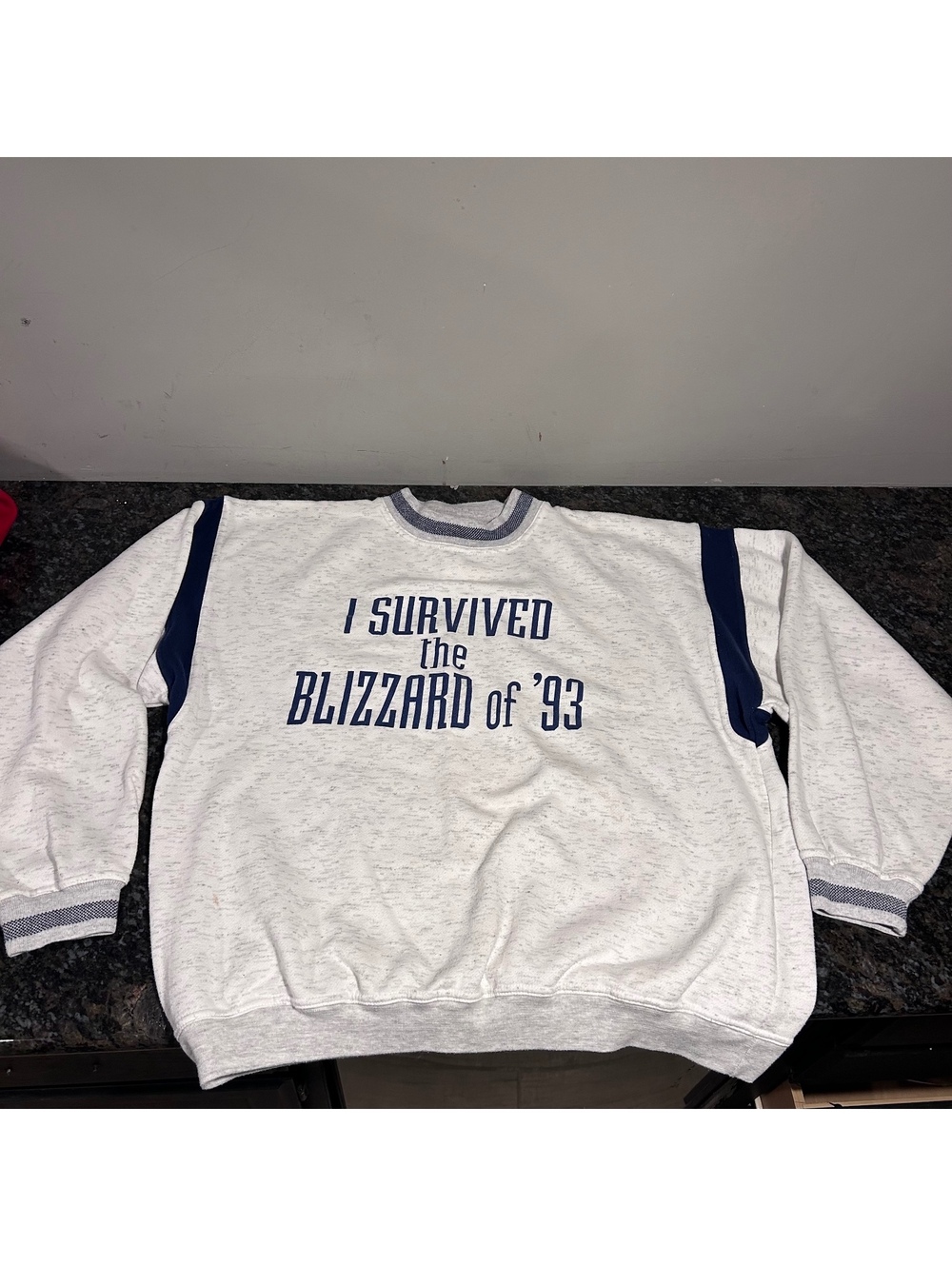 Vintage Gear For Sports I Survived The Blizzard of ‘93 Sweatshirt 90s